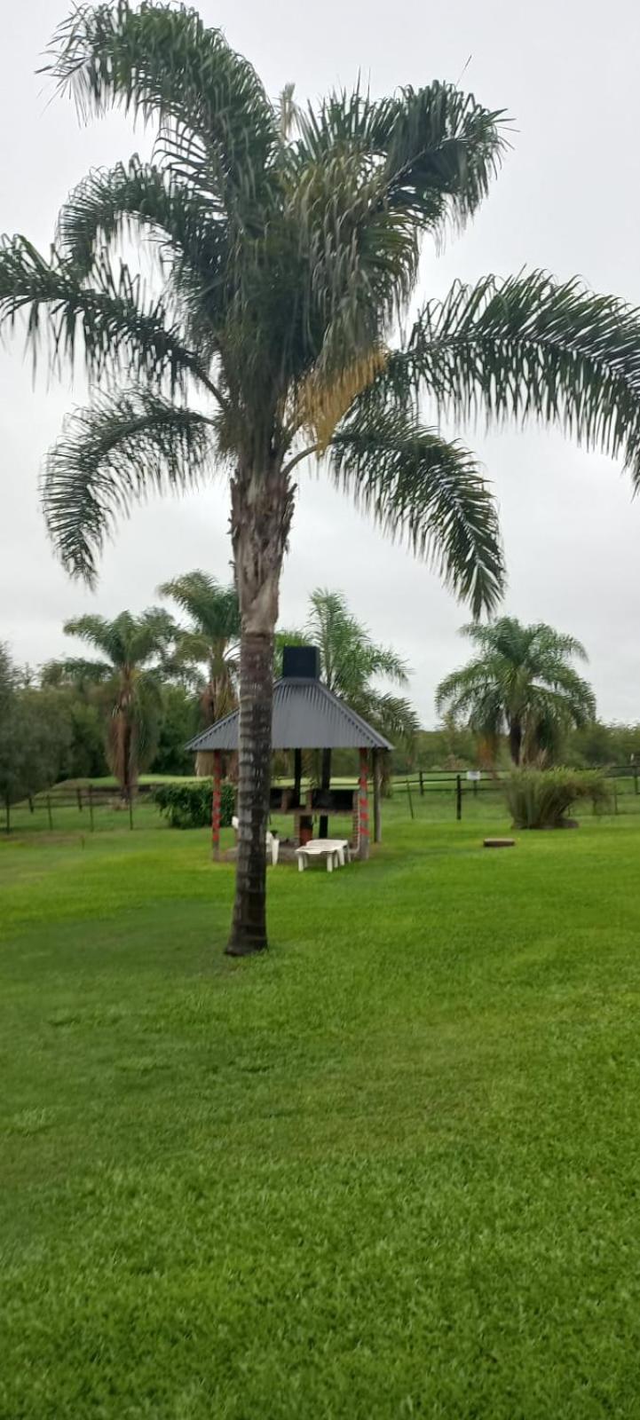 Cabanas Del Paraiso Colón Esterno foto